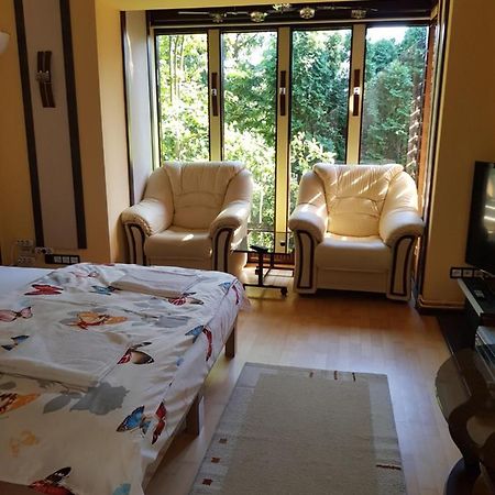 Casa Negoiu Apartment Targu Mures Ngoại thất bức ảnh