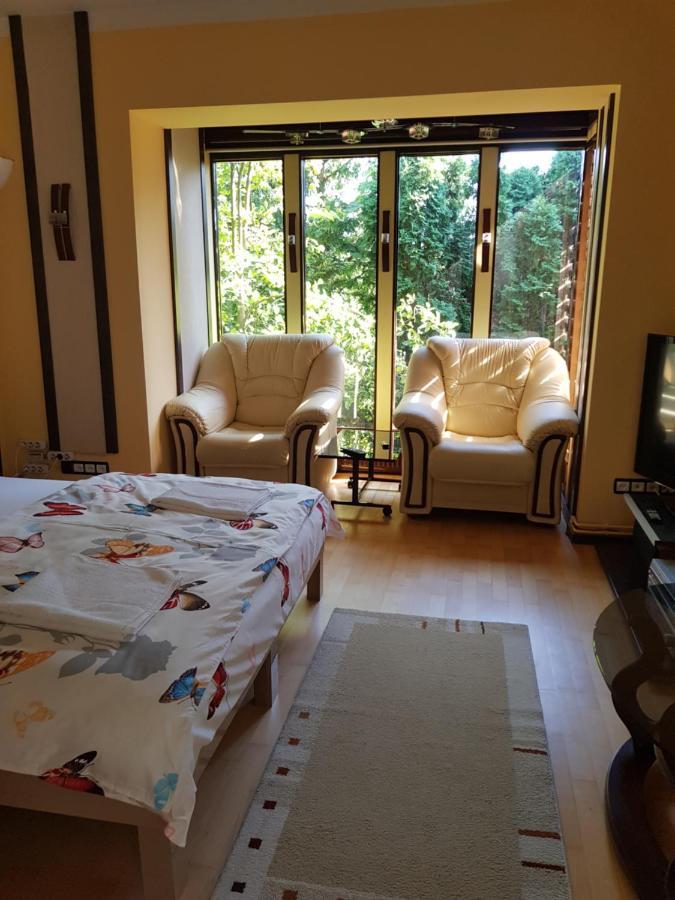 Casa Negoiu Apartment Targu Mures Ngoại thất bức ảnh