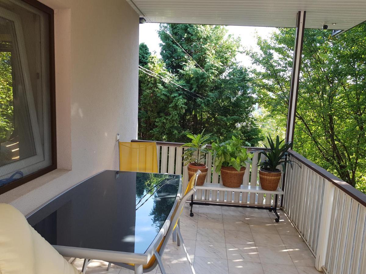 Casa Negoiu Apartment Targu Mures Ngoại thất bức ảnh