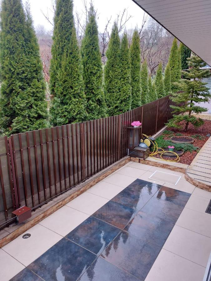 Casa Negoiu Apartment Targu Mures Ngoại thất bức ảnh